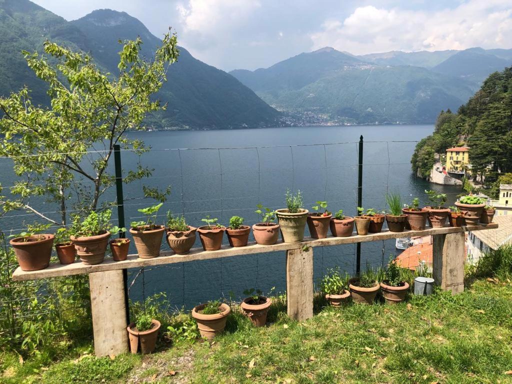Gli Orti Della Civera " Cottagecore" Amazing View نيسّو المظهر الخارجي الصورة